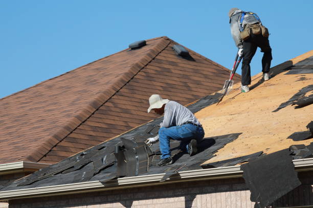 Best Roof Coating and Sealing  in Mcnair, VA